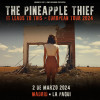 The Pineapple Thief (Madrid)